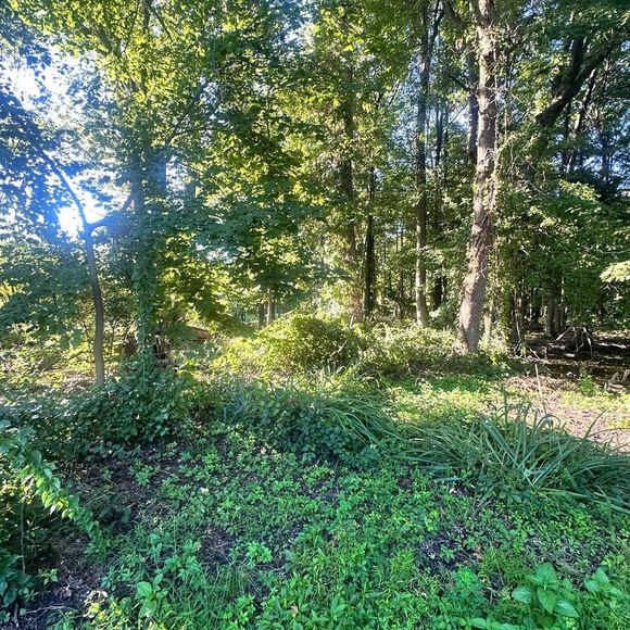 Show  like for notifications - Picture 5 of 16